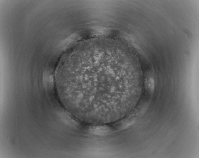 X0000115060716200911091446
