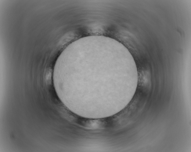 X0000115060717200911091446