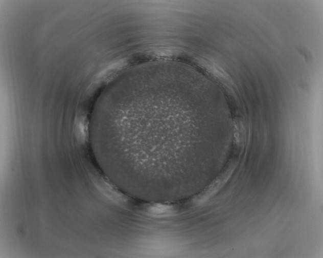 X0000115060718200911091446