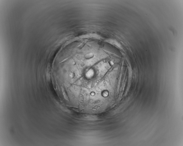 X0000115060719200911091446