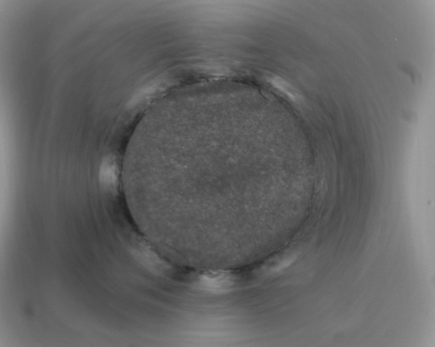 X0000115060720200911091446