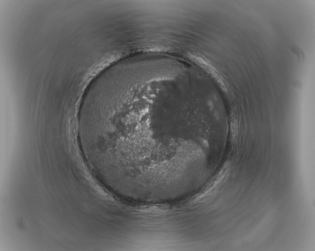 X0000115060721200911091446