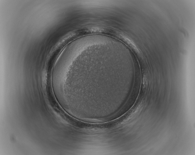 X0000115060722200911091446