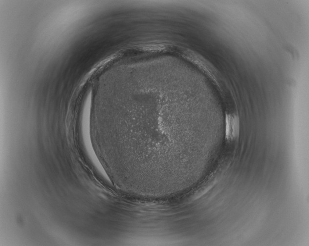 X0000115060723200911091446