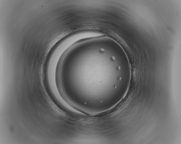 X0000115060725200911091446