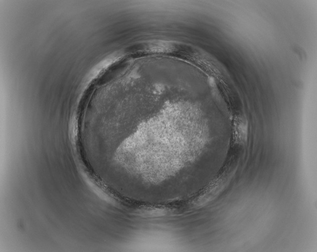 X0000115060726200911091446