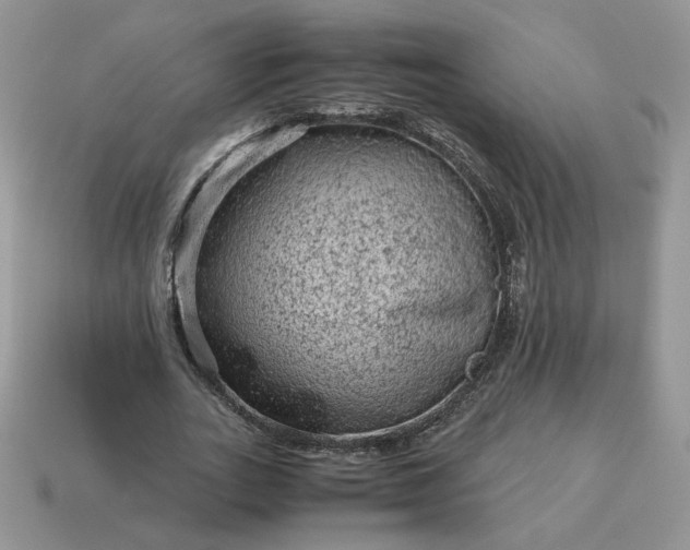 X0000115060727200911091446