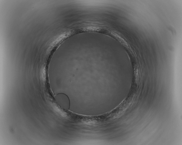 X0000115060729200911091446