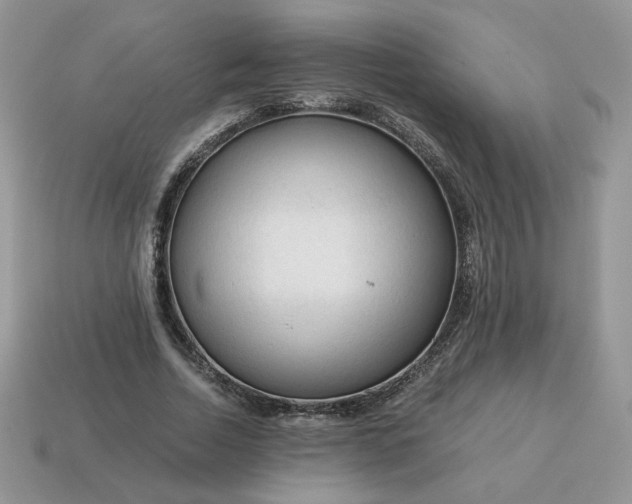 X0000115060730200911091446