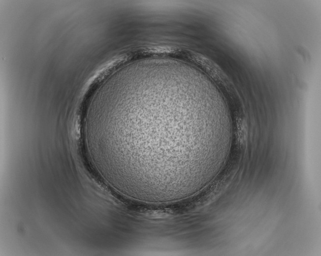 X0000115060731200911091446