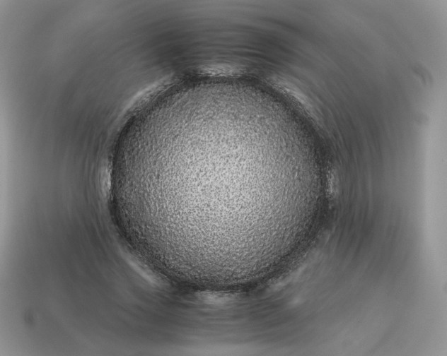 X0000115060733200911091446