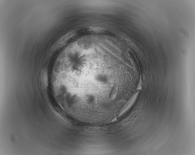 X0000115060734200911091446