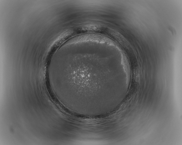 X0000115060735200911091446