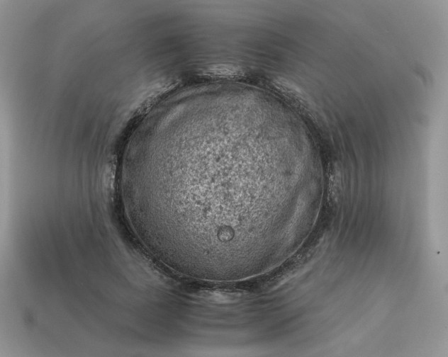 X0000115060739200911091446