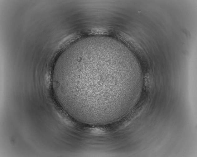 X0000115060741200911091446