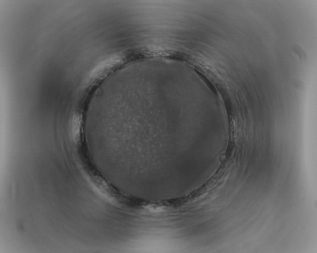 X0000115060742200911091446