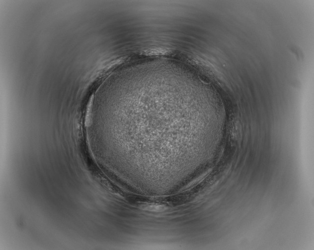 X0000115060743200911091446