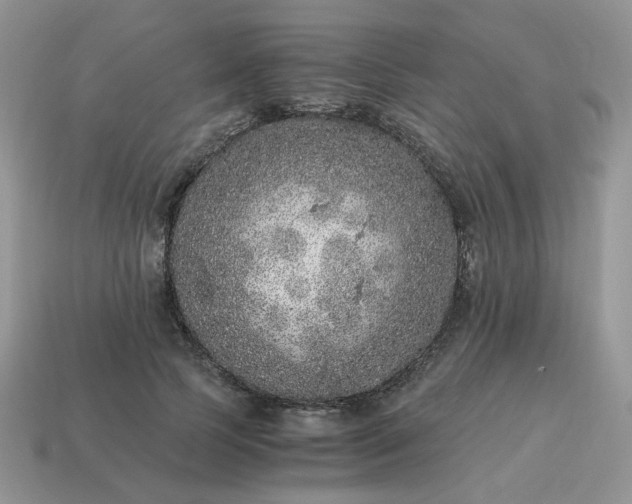X0000115060745200911091446