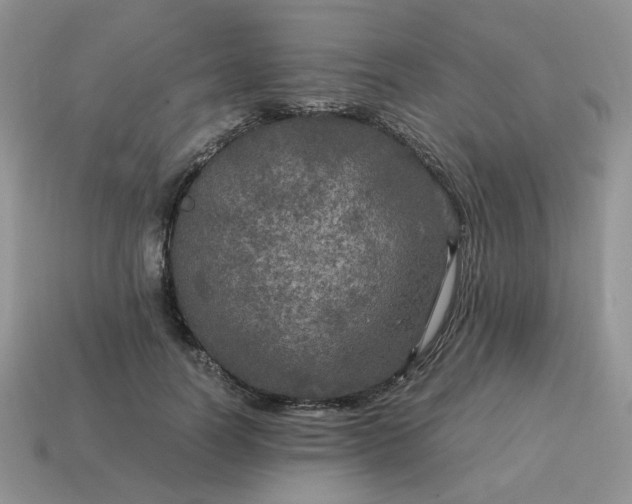 X0000115060746200911091446