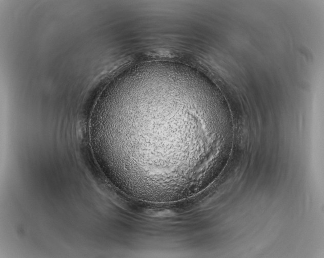 X0000115060747200911091446