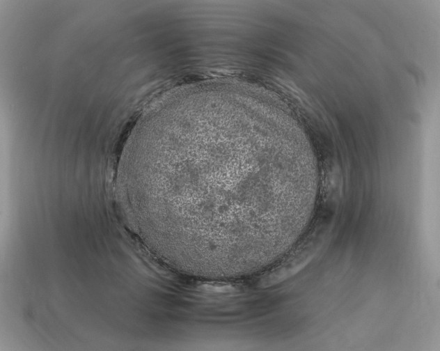 X0000115060749200911091446