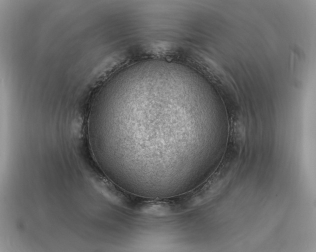 X0000115060750200911091446