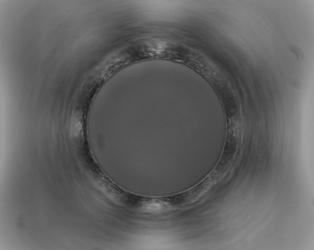 X0000115060754200911091446