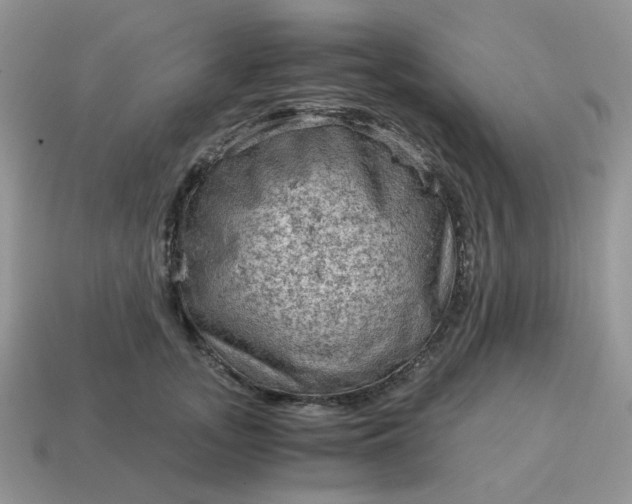 X0000115060755200911091446