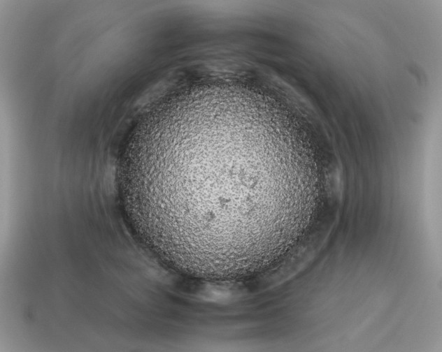 X0000115060757200911091446