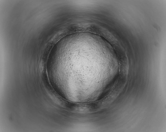 X0000115060758200911091446