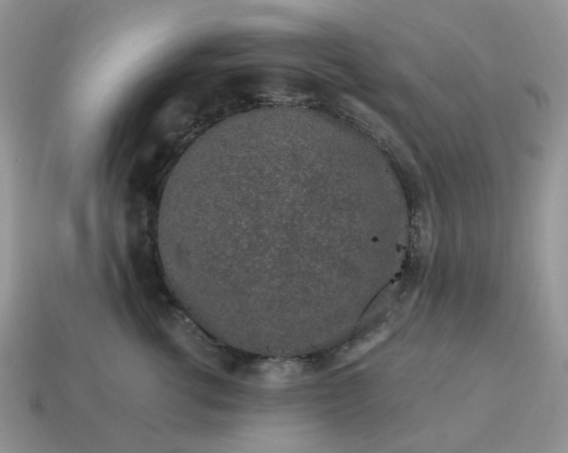 X0000115060762200911091446