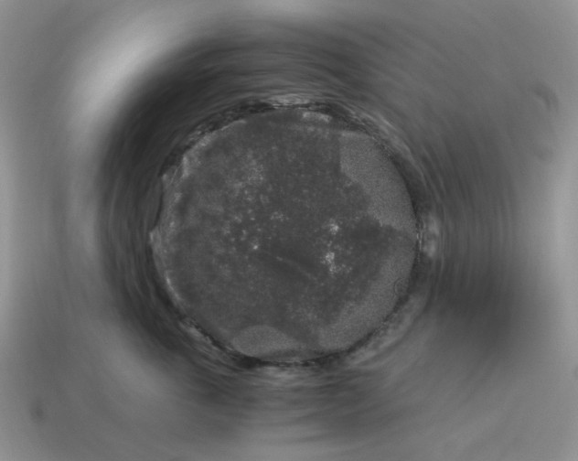 X0000115060763200911091446