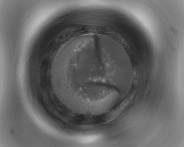 X0000115060765200911091446