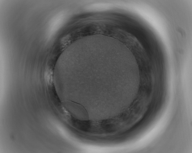 X0000115060766200911091446