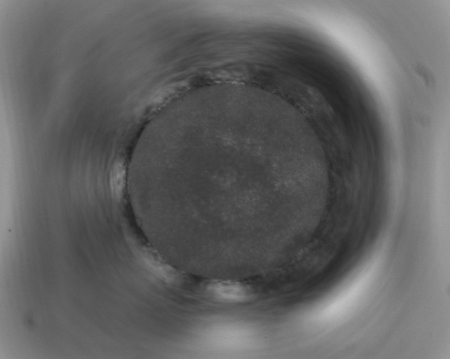 X0000115060767200911091446