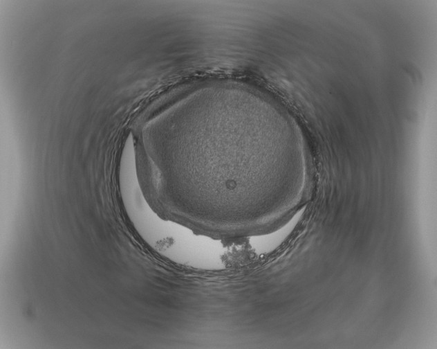 X0000115060769200911091446