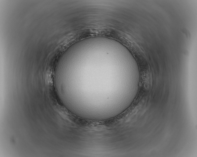 X0000115060770200911091446