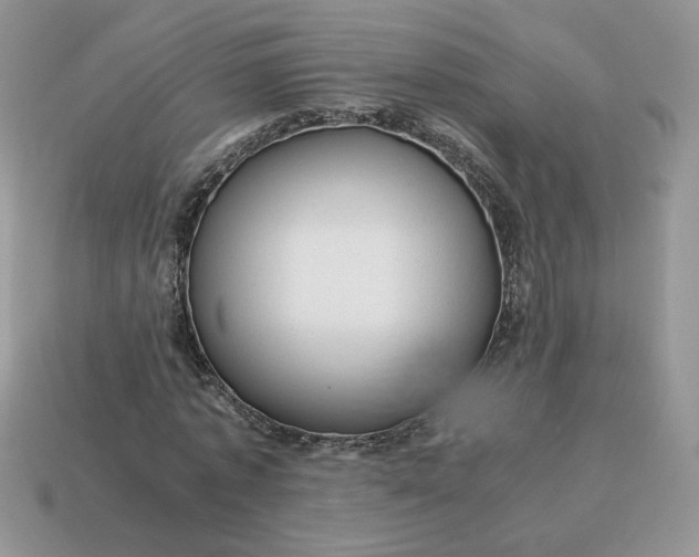 X0000115060773200911091446