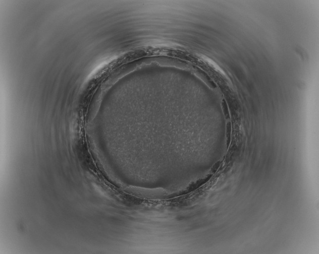 X0000115060775200911091446