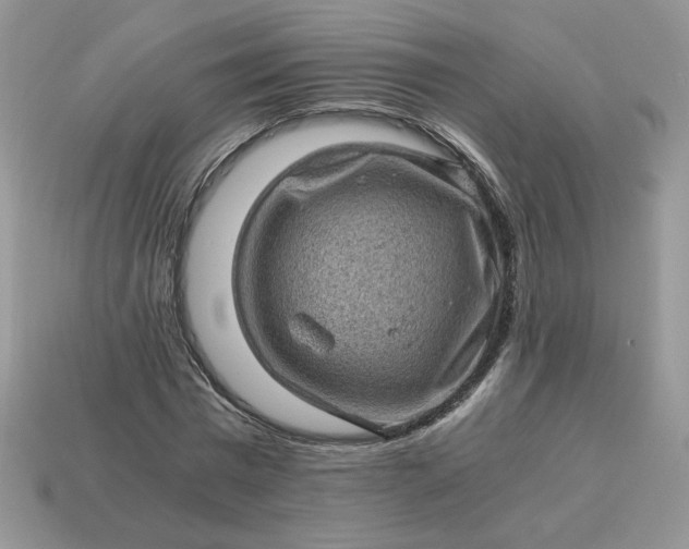 X0000115060777200911091445