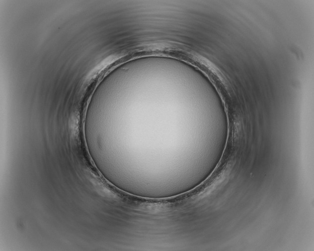 X0000115060778200911091445