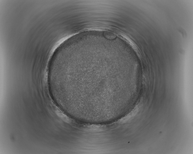 X0000115060779200911091445