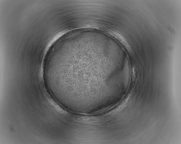 X0000115060780200911091445