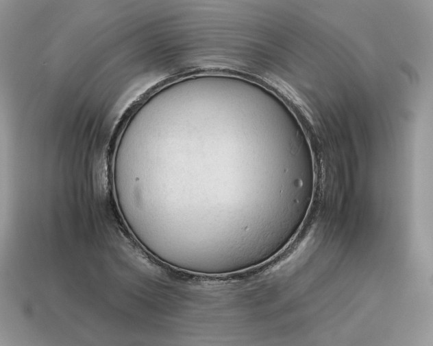 X0000115060782200911091445