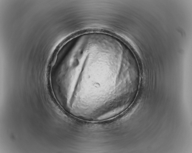 X0000115060783200911091445