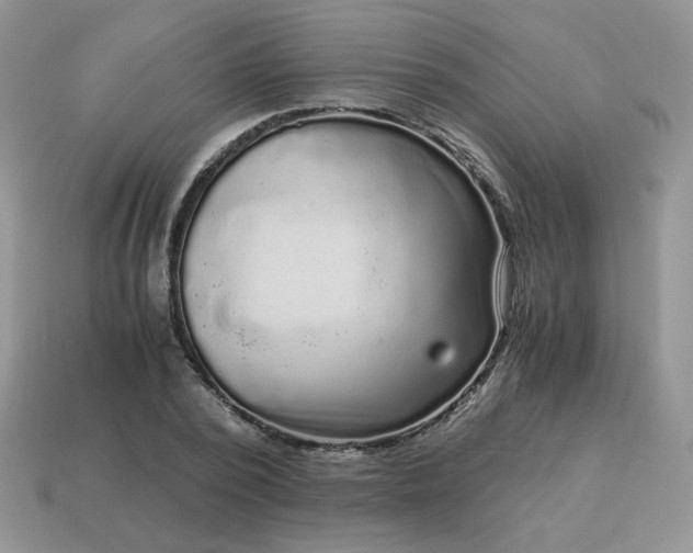 X0000115060784200911091445