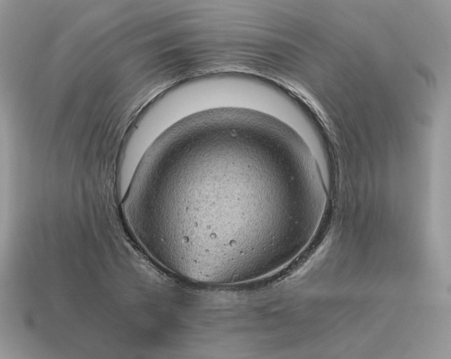 X0000115060785200911091445
