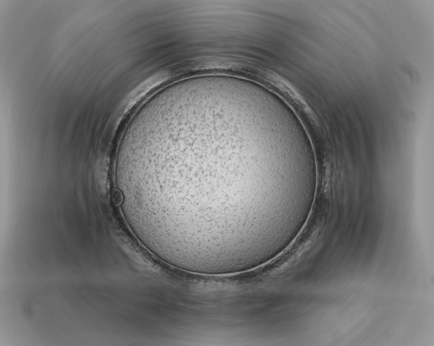 X0000115060786200911091445