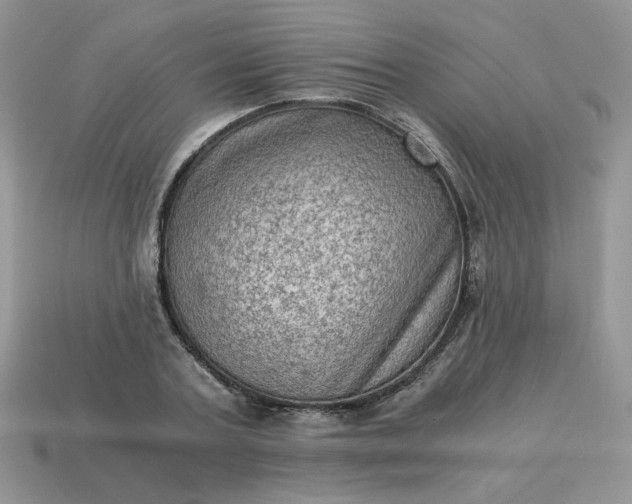 X0000115060787200911091445