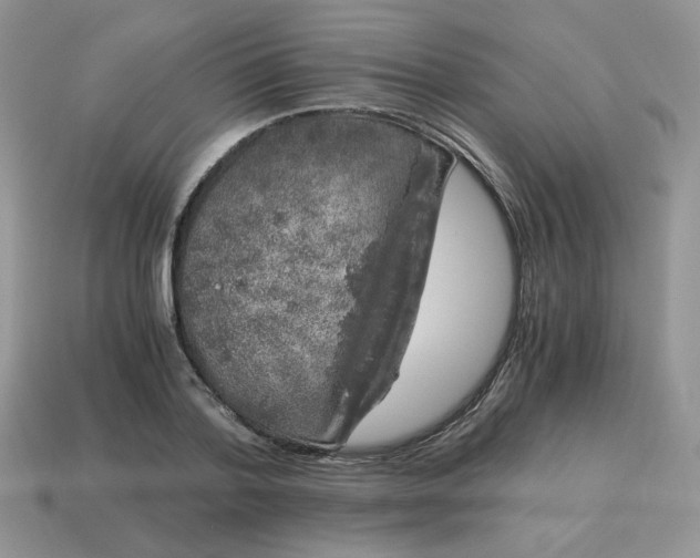 X0000115060788200911091445